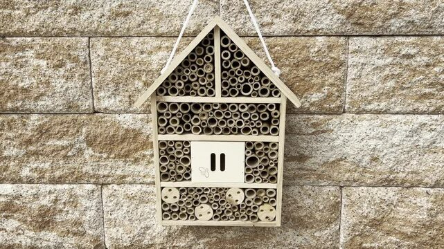 Insect hotel, Insect shelter