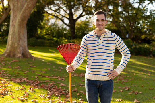 Man raking fallen leaves on sunlit grassy residential backyard lawn, holding red plastic leaf rake