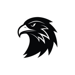 eagle head vector illustration