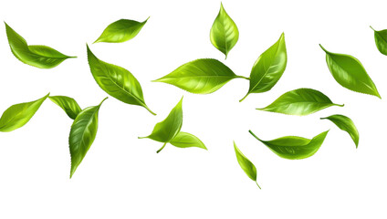 Fototapeta premium Green Leaves in Motion: A vibrant collection of verdant green leaves dances in a dynamic display, capturing the freshness and vitality of nature. 