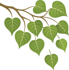 Bodhi Tree Branch With Leaves , Sacred fig leaves Vector for Vesak Day – Sacred Buddhist Symbol Illustration