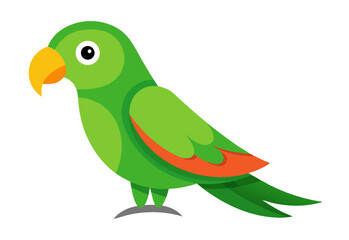 parrot on a green background