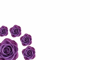 purple roses border, frame, decorative frame, decorative, celebrations card, wishing card 