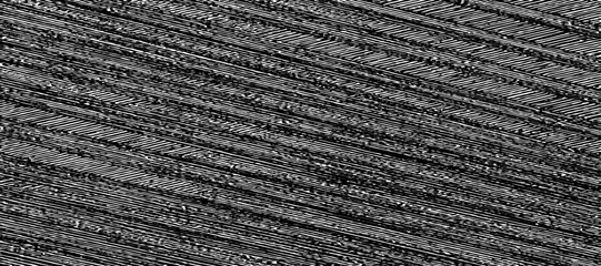 Abstract art on diagonal straight lines vector for card, illustration background, Close-up wooden lines texture. Tree rings. Annual ring.