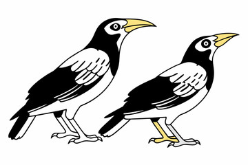 Obraz premium bird on a branch