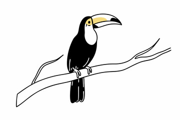 toucan on a branch