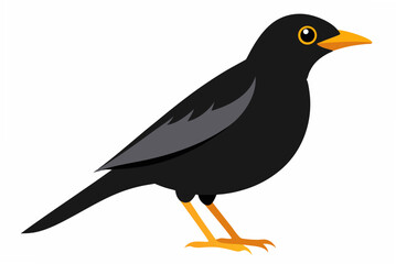 crow on a white background
