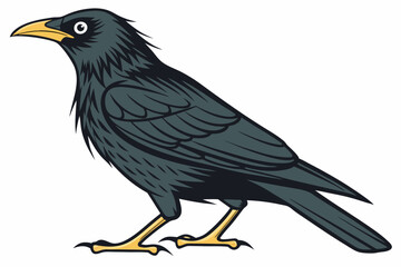 raven on a white background