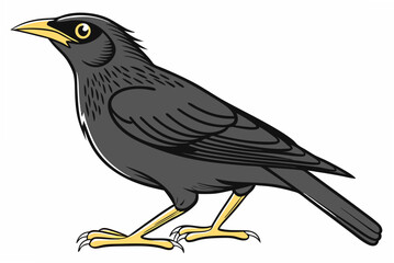 bird on a branch