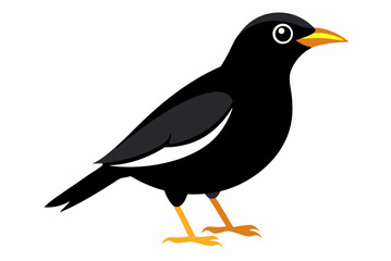 bird on a white background