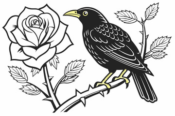 vector illustration of a bird