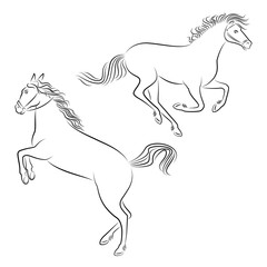 Collection. Silhouette of a beautiful strong horse. The animal runs fast. Drawing for aesthetic decor, posters, stickers, logo. Vector illustrations set