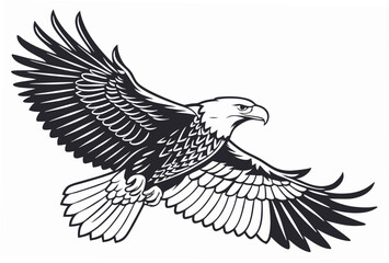 eagle vector illustration