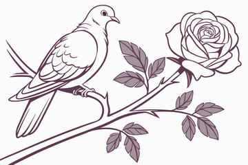 vector illustration of a branch of rose