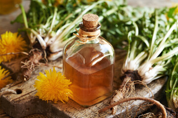 A bottle of dandelion root tincture on a table © Madeleine Steinbach
