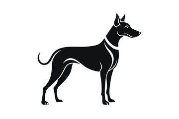 Fototapeta premium black and white dog