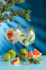 Cocktails gin and tonic with grapefruit and lime slices.