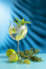 Cocktail gin and tonic with ice and lime slices.