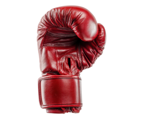 Classic boxing glove for training and competition use