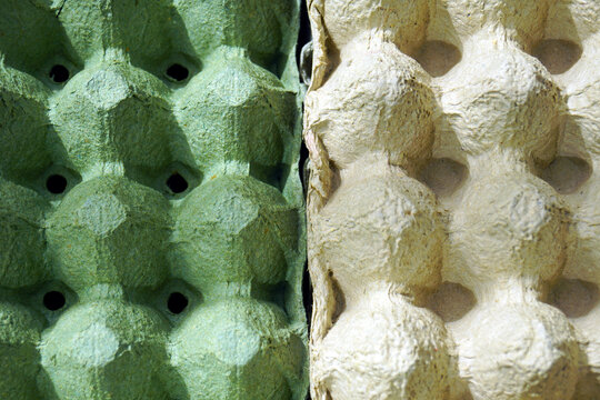 50x50: Close-ups of green and yellow egg cartons. Half concept. The backs of different egg storage trays with and without holes occupying equal space in the photo. Recycled packaging texture.