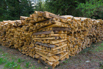 Ignite your senses with a rustic woodpile nestled in the forest—neatly stacked firewood that...