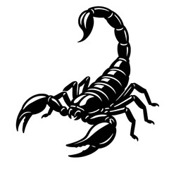 Vector illustration of a black scorpion silhouette with detailed pincers and stinger. Represents wildlife, insects, arachnids, and the zodiac sign Scorpio.