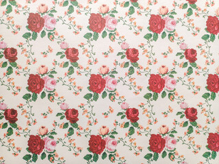 plant, rose flower and leaf background with soft and attractive colors, copy space, template