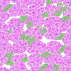 Botanical seamless pattern with pink hydrangea flowers and leaves. Floral blossom vector flat background