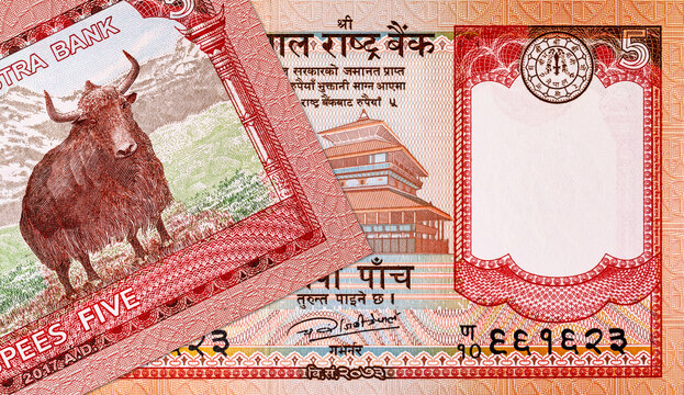 Nepalese 5 rupee banknote with the image of Mount Everest, fragment for design. Nepalese money.