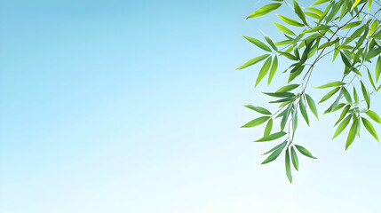 Obraz premium Light Blue Sky With Green Leaves Branch