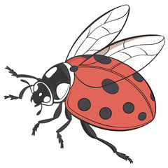 Adobe Illustrator Artwork ladybug insect color icon vector illustration.