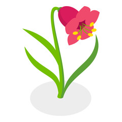 3D Isometric Flat Vector Illustration of Flowers Collection, Set of Various Blooming Plants. Item 1