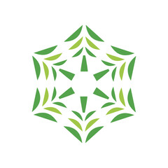 leaf, nature, plant, vector, organic, tree, growth, illustration, green, abstract, bush, symbol, shape, decoration, sign, eco, set, botany, design, environment, ecology, isolated, flora, icon, backgro