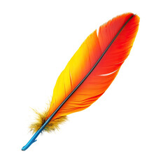Vibrant colorful feather illustration