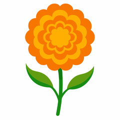 new Marigold, Tagetes flowers vector icon with white background