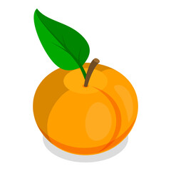 3D Isometric Flat Vector Set of Apricots and Elements, Farm Products. Item 6