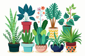 Houseplant Vector Collection