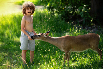 Child feed fawn deer. Wild animals and child concept. Kid feeding deer. Animal at park. Kid boy...