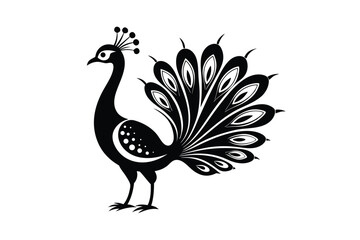 Fototapeta premium peacock vector illustration
