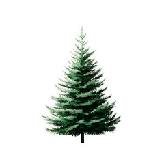 Fototapeta premium Lush Green Evergreen Tree Standing Tall in a Natural Setting Against Plain Background