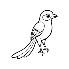 Baby Tailed Trogon Outline Vector Art