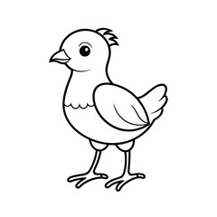Baby Great Argus Bird Outline Drawing