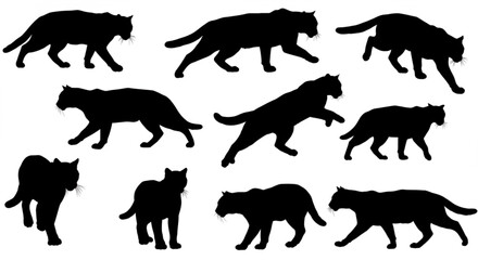 Obraz premium wildcats silhouettes
