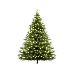 Lush Green Christmas Tree Decorated with Bright Twinkling Lights for Holiday Season