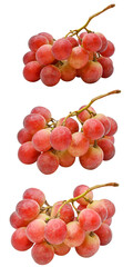 a branch of grapes