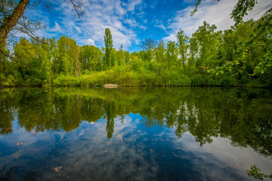 View on a pond in nature park Gelaagpark in Steendorp, near Temse, Belgium