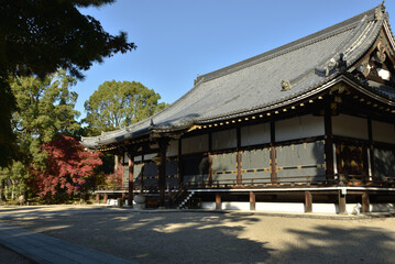 Obraz premium 世界遺産仁和寺 金堂【国宝】