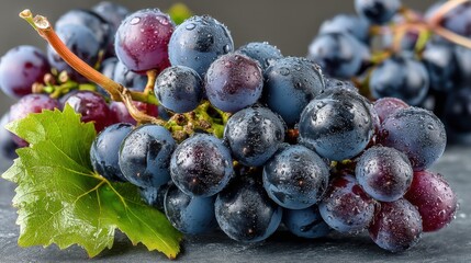 Cabernet Sauvignon cluster showcasing dark berries and vivid green stem on slate surface