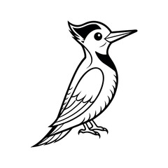 Woodpecker Outline Line Illustration