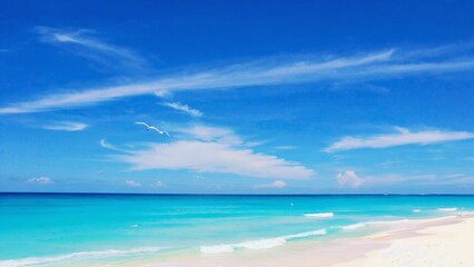 Fototapeta premium Peaceful beach scene with clear blue water and a few birds in the sky.